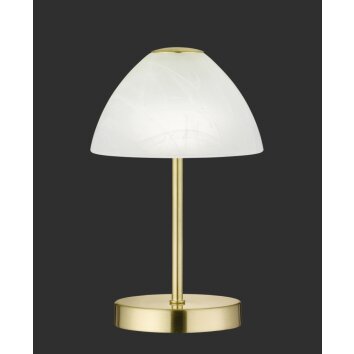 Reality QUEEN Lampada da Tavolo LED Ottone, 1-Luce