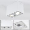 Baishan Plafoniera LED Bianco, 2-Luci