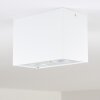 Baishan Plafoniera LED Bianco, 2-Luci