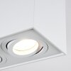Baishan Plafoniera LED Bianco, 2-Luci