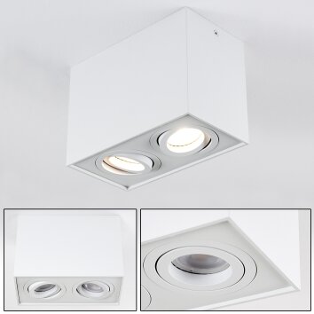 Baishan Plafoniera LED Bianco, 2-Luci