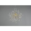 Reality Gloria Lampada a Sospensione Ottone, 1-Luce