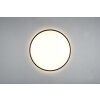 Reality Limbus Plafoniera LED Nero, 1-Luce