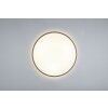 Reality Limbus Plafoniera LED Titanio, 1-Luce