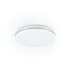 Reality Tiger Plafoniera LED Bianco, 1-Luce, Telecomando, Cambia colore