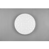 Reality Tiger Plafoniera LED Bianco, 1-Luce, Telecomando, Cambia colore
