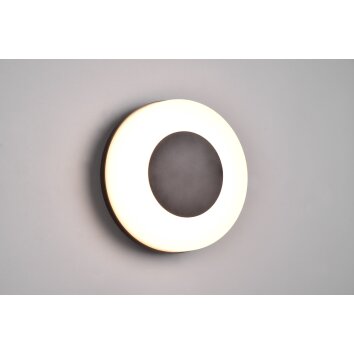 Reality Morena Applique da esterno LED Nero, Bianco, 1-Luce
