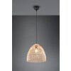 Reality Rike Lampadario a sospensione Nero, 1-Luce