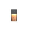 Illuminazione Trio Leuchten SALMON Applique LED Legno chiaro, 1-Luce, Sensori di movimento