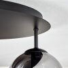 Gastor Plafoniera, Lampada a sfera 45 cm Cromo, Chiaro, Grigio fumo, 5-Luci