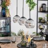 Koyoto Lampadario a sospensione, Lampada a sfera, Lampada a sospensione Chiaro, Grigio fumo, 3-Luci