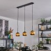 Koyoto Lampadario a sospensione, Lampada a sfera, Lampada a sospensione Oro, 3-Luci