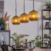 Koyoto Lampadario a sospensione, Lampada a sfera, Lampada a sospensione Oro, 3-Luci