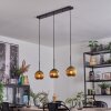 Ripoll Lampadario a sospensione, Lampada a sfera, Lampada a sospensione Oro, 3-Luci