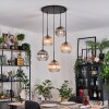 Koyoto Lampadario a sospensione, Lampada a sfera, Lampada a sospensione a cluster Ambrato, Chiaro, Grigio fumo, 5-Luci