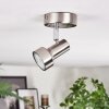 Edain Plafoniera, Faretto da soffitto LED Cromo, Nichel opaco, 1-Luce