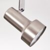 Edain Plafoniera, Faretto da soffitto LED Cromo, Nichel opaco, 2-Luci
