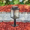 Tieva Lampada con piedistallo, Illuminazione viale Nero, 1-Luce