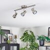 Edain Plafoniera, Faretto da soffitto LED Cromo, Nichel opaco, 3-Luci