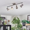 Edain Plafoniera, Faretto da soffitto LED Cromo, Nichel opaco, 4-Luci