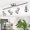 Edain Plafoniera, Faretto da soffitto LED Cromo, Nichel opaco, 4-Luci