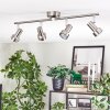 Edain Plafoniera, Faretto da soffitto LED Cromo, Nichel opaco, 4-Luci