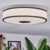 Elran Plafoniera LED Bianco, 1-Luce