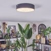 Elmar Plafoniera LED Nero, 1-Luce