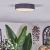 Elmar Plafoniera LED Nero, 1-Luce
