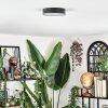 Elmar Plafoniera LED Nero, 1-Luce