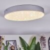 Elmar Plafoniera LED Argento, 1-Luce