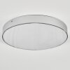 Elmar Plafoniera LED Argento, 1-Luce