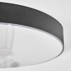 Elmar Plafoniera LED Nero, 1-Luce