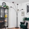 Nikkala Lampada da terra Nero, 5-Luci