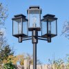 Dalasjo Lampione multibraccia, Illuminazione viale Nero, 3-Luci
