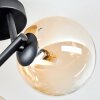 Chehalis Plafoniera, Lampada a sfera Ambrato, Chiaro, 3-Luci