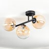 Chehalis Plafoniera, Lampada a sfera Ambrato, Chiaro, 3-Luci