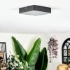 Esmar Plafoniera LED Nero, 1-Luce