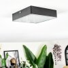 Esmar Plafoniera LED Nero, 1-Luce