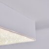 Esmar Plafoniera LED Bianco, 1-Luce