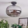 Apedo Plafoniera Grigio fumo, 1-Luce
