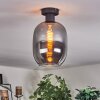 Apedo Plafoniera Grigio fumo, 1-Luce