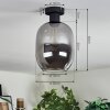 Apedo Plafoniera Grigio fumo, 1-Luce