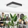 Esmar Plafoniera LED Nero, 1-Luce