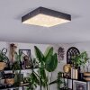 Esmar Plafoniera LED Nero, 1-Luce