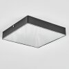 Esmar Plafoniera LED Nero, 1-Luce