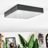 Esmar Plafoniera LED Nero, 1-Luce