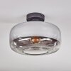 Boza Plafoniera Cromo, Chiaro, Grigio fumo, 1-Luce