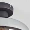 Mertola Plafoniera Chiaro, Grigio fumo, 1-Luce