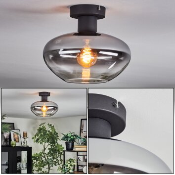 Mertola Plafoniera Chiaro, Grigio fumo, 1-Luce